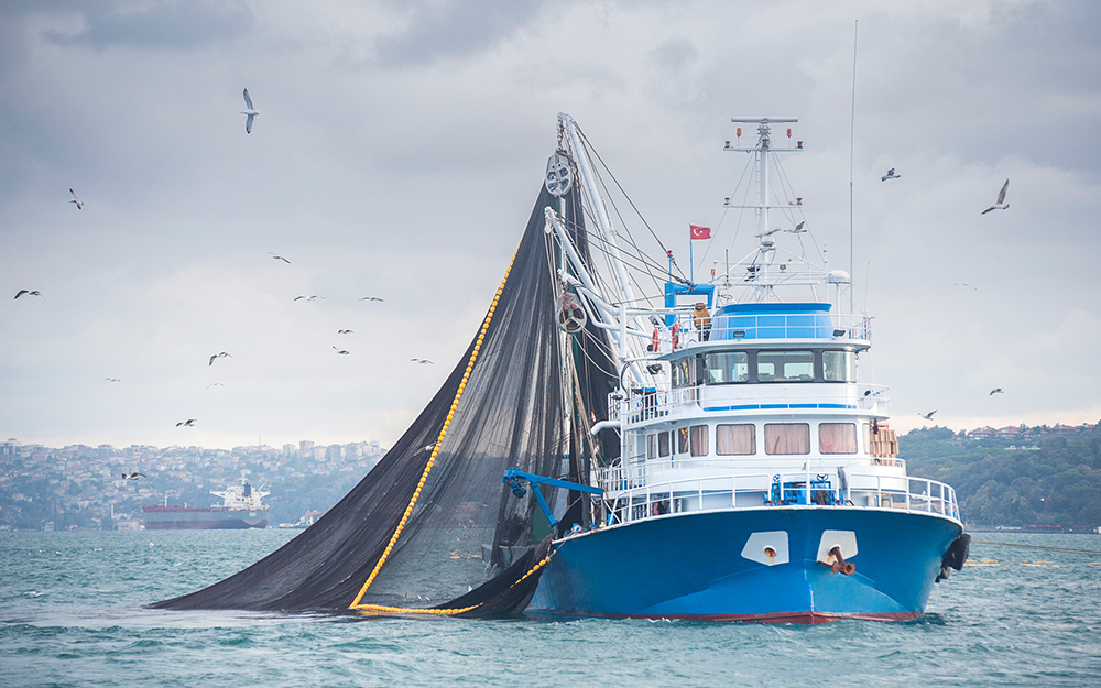 Fishing boat